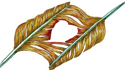 Spór o „Amoris Laetitia”. Komu nie podoba się adhortacja papieża