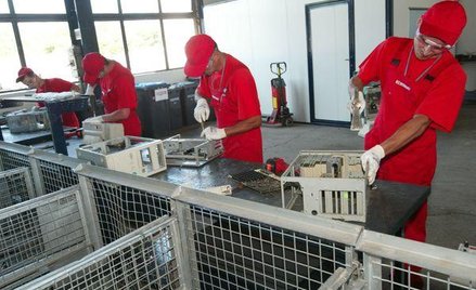 Rozlicz się za świetlówki i pralki