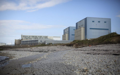 EDF odsuwa decyzję w sprawie budowy brytyjskiej elektrowni atomowej