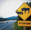 Trans-Labrador Highway