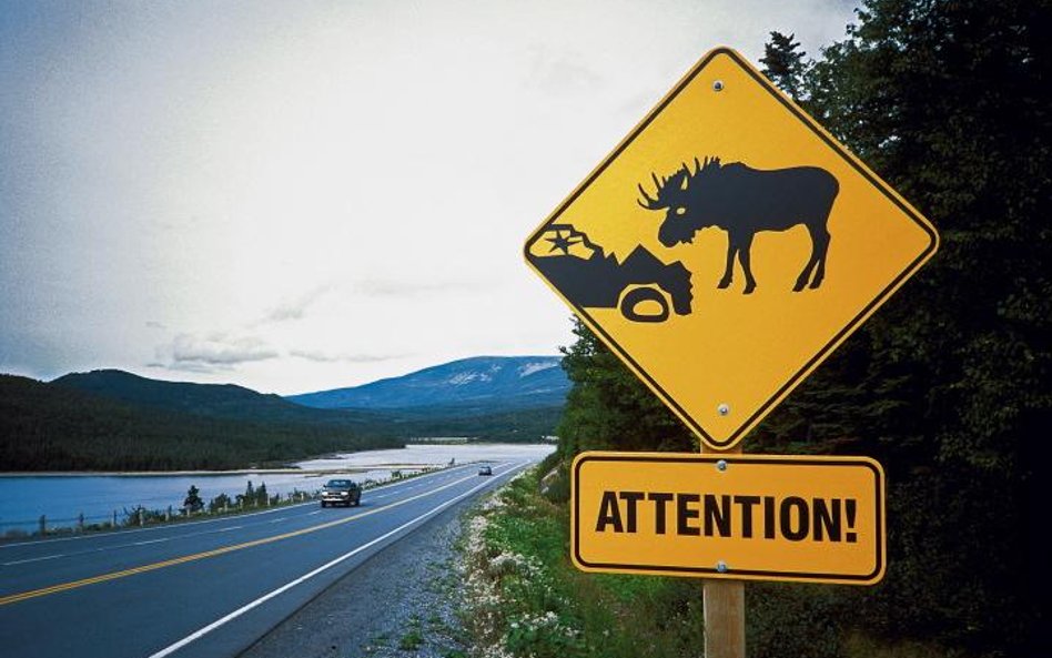 Trans-Labrador Highway