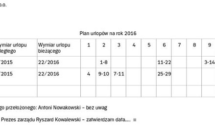 Przykład planu urlopów