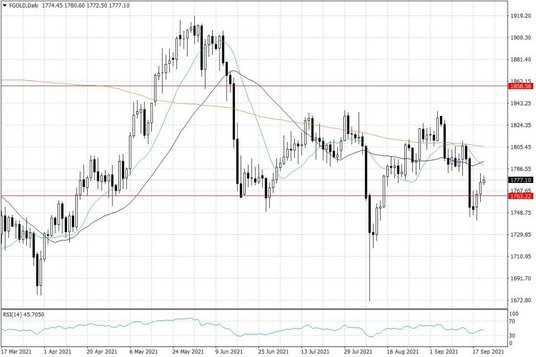 Notowania złota – dane dzienne