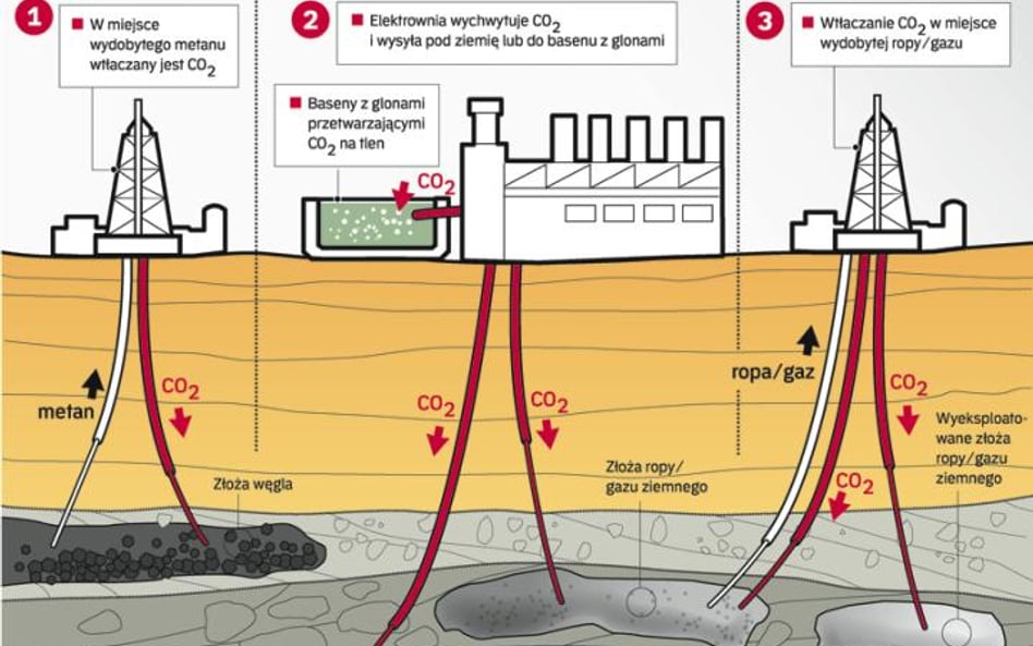 Co z oczu, to z serca. Dwutlenek węgla powstaje w wyniku spalania paliw kopalnych zawierających węgi