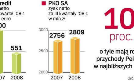 Mimo światowego kryzysu finansowego zarząd Pekao SA nie zamierza zmieniać swoich planów strategiczny