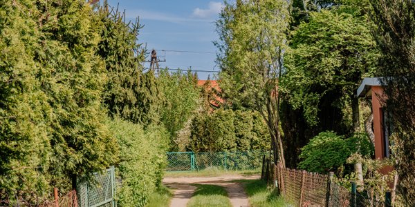 700 zł za działkę ROD. Setki ofert. Wystarczy 10 minut na formalności
