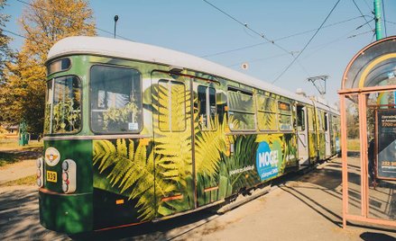 Antysmogowy tramwaj kursuje na Śląsku