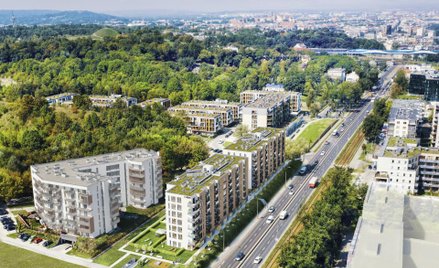 Cordia na krakowskim Podgórzu