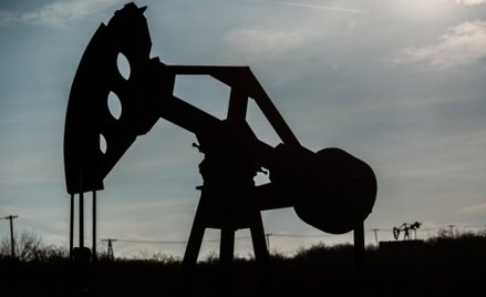 OPEC: równowaga na rynku w 2016 r.