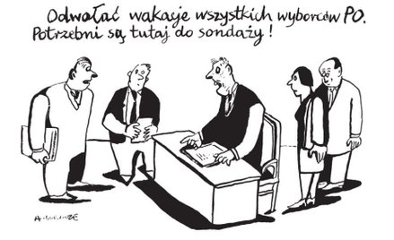 Komentarz rysunkowy. Odwołać wakacje wyborców PO