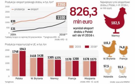 Nie mamy sobie równych w Unii Europejskiej