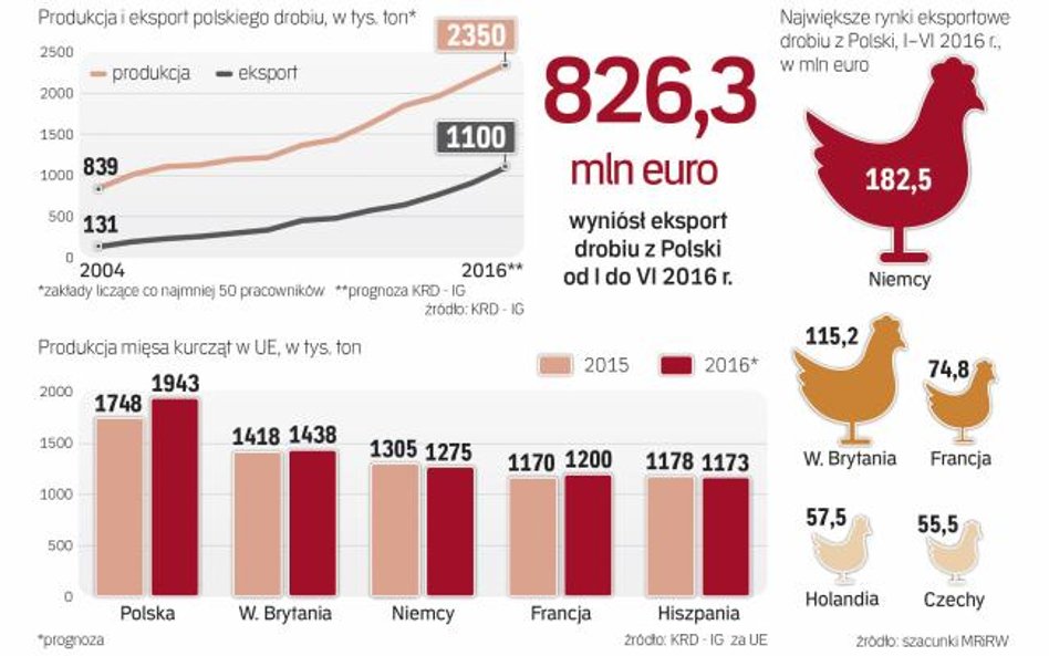 Nie mamy sobie równych w Unii Europejskiej