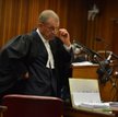 Gerrie Nel w czasie przesłuchania Oscara Pistoriusa