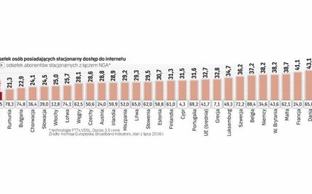 Mamy mało abonentów stacjonarnego internetu, ale relatywnie wielu korzysta z szybkich ŁĄczy