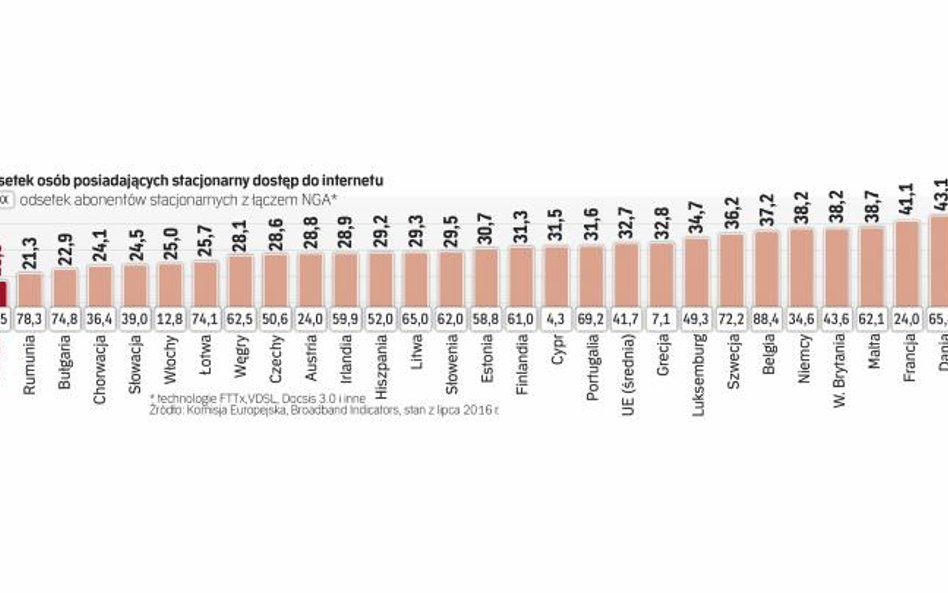 Mamy mało abonentów stacjonarnego internetu, ale relatywnie wielu korzysta z szybkich ŁĄczy