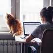 Praca zdalna na wniosek pracownika lub polecenie przełożonego