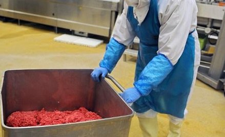 Tesco traci klientów. Spaghetti bolognese z koniny