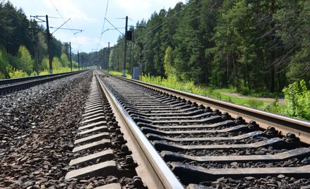 Po ponad 40 latach przerwy władze chcą reaktywować linię kolejową ze Ścinawki Średniej do Radkowa
