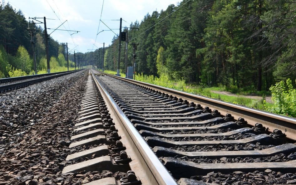 Po ponad 40 latach przerwy władze chcą reaktywować linię kolejową ze Ścinawki Średniej do Radkowa
