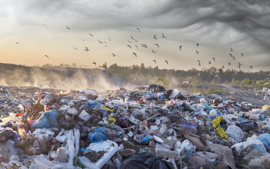 Kto i kiedy płaci za korzystanie ze środowiska?