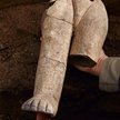 Naga Jadwiga z epoki kamienia