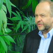 #RZECZoPOLITYCE Bachański: Marihuana w medycynie jest od zawsze