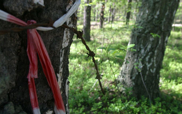Fragmenty drutów kolczastych otaczających obóz zagłady w Sobiborze