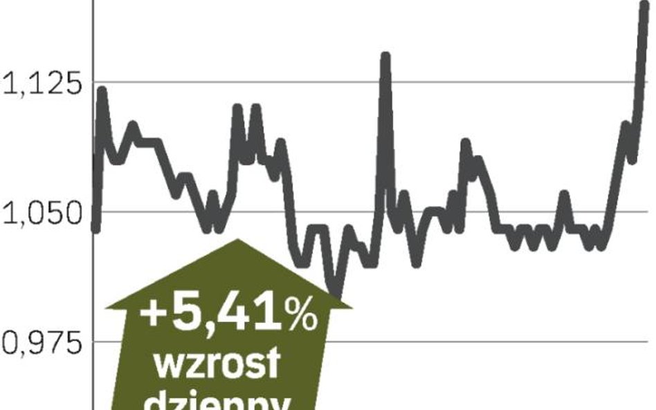 Lubawa liczy na skok skali działalości