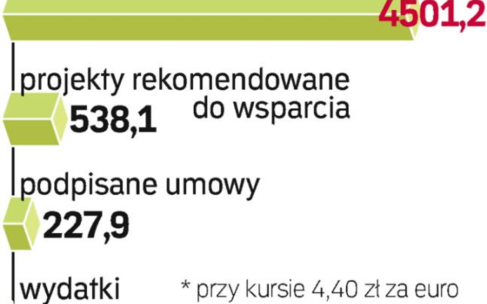 Z 4,4 mld zł dotacji na kluczowe inwestycje oraz centra usług dotychczas nie udało się wydać ani eur