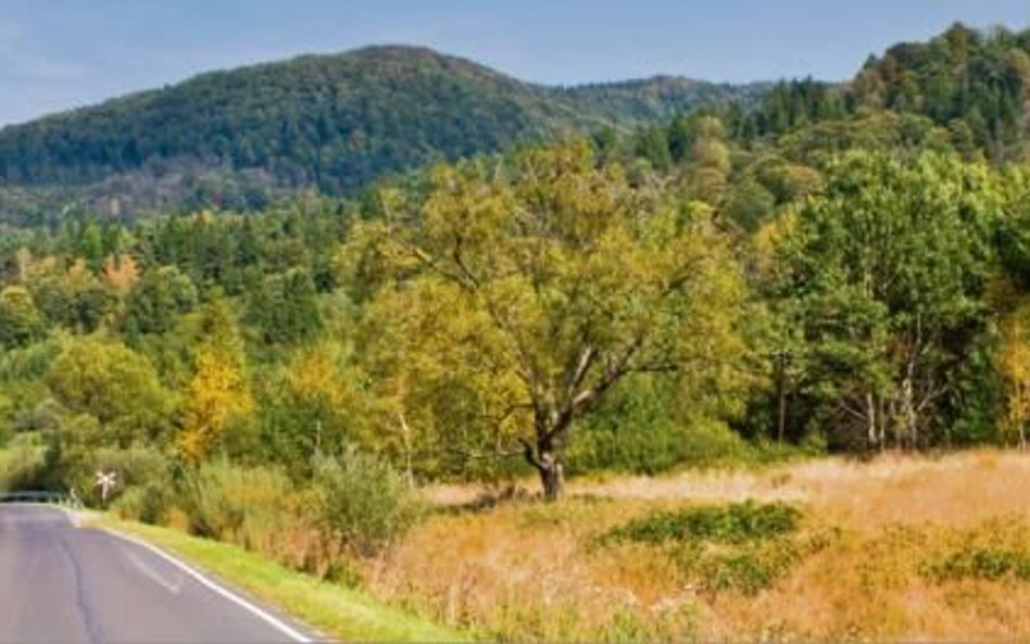 Przewoźnik, który dotychczas obsługiwał połączenia w Bieszczadach, przestanie jeździć na tych trasac