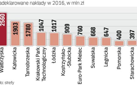 Ubiegły rok okazał się dla stref bardzo udany