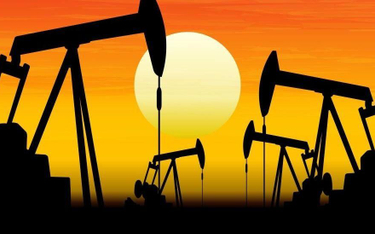 USA: Połowa zapasów ropy na sprzedaż