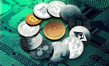 Branża kryptowalutowa, podobnie jak giełdowa, ma swój inwestycyjny slang