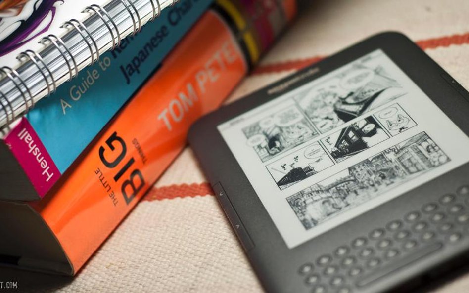 Kindle (Fot. kodomut / Foter / CC BY)