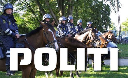 Królestwo za konia. Duńska policja poszukuje rumaków