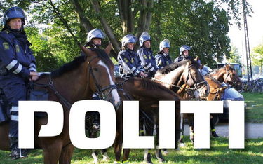 Królestwo za konia. Duńska policja poszukuje rumaków