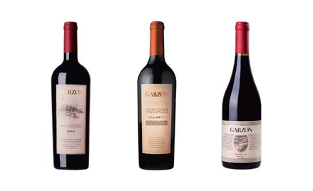 Garzon Marselan Reserva 2019 98 zł Garzon Tannat Single Vineyard 2018 194 zł Garzon Balasto 2016 509