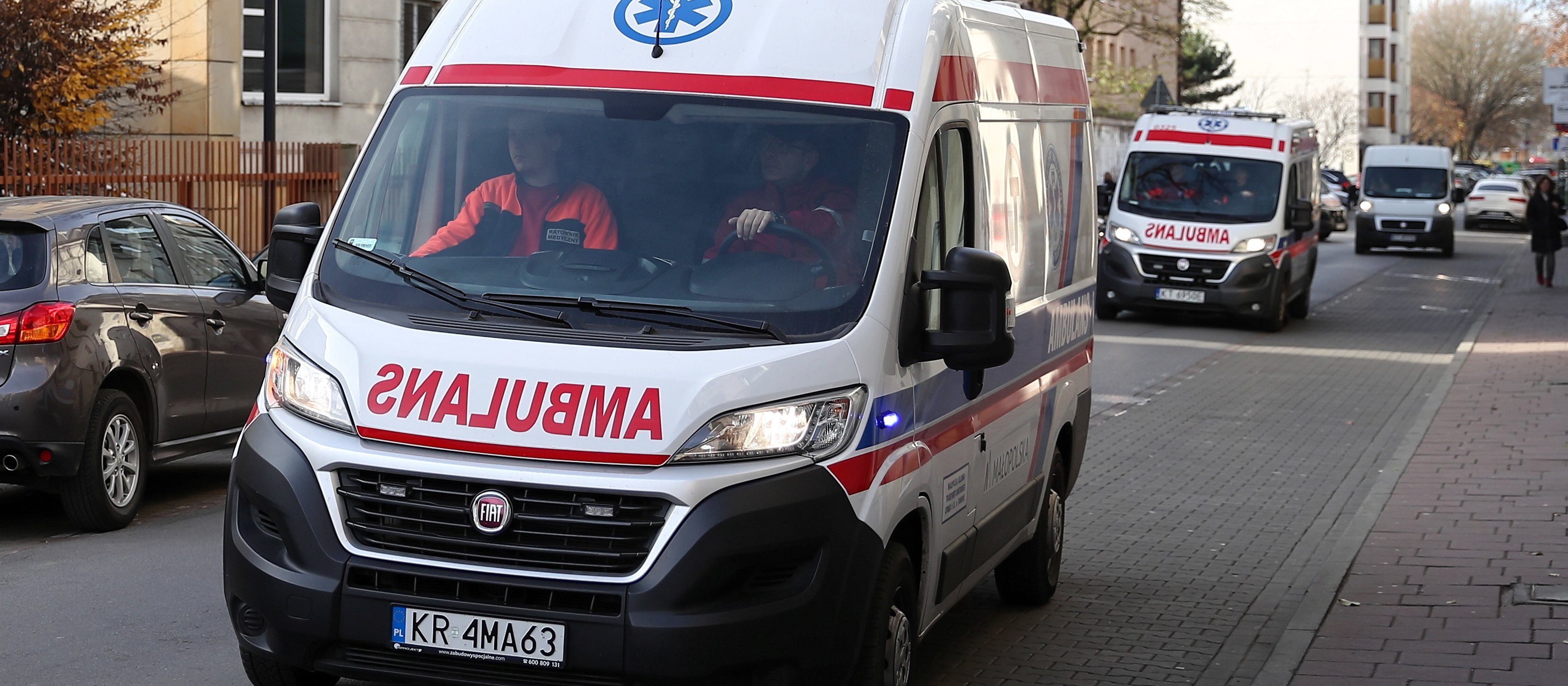 Dzik zaatakował wózek z dzieckiem w Krakowie. Dziewczynka trafiła do szpitala