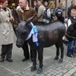 Osiołek na rynku staromiejskim w Toruniu jest dziś atrakcją turystyczną. Niegdyś był narzędziem kary