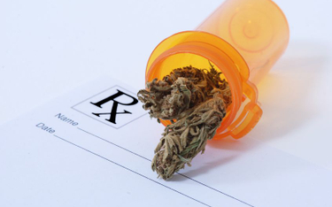 MZ o refundacji leków ma bazie marihuany sprowadzonych z zagranicy