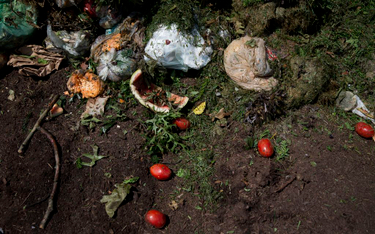 Greenpeace Polska: co roku w kraju marnujemy 9 mln ton żywności