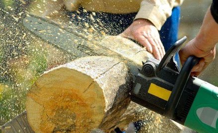 Ponad milion zł kary za nielegalną wycinkę