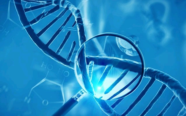 Testy genetyczne pozwalają przewidzieć choroby?
