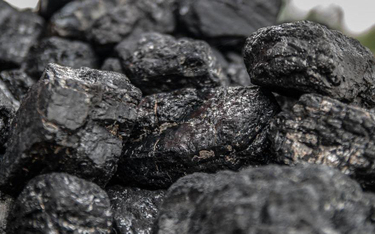 Kongres: monokultura węgla w polskiej energetyce nie do utrzymania