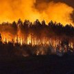 Płonący las w Biscarrosse w południowej Francji, 25 lipca 2026 r.