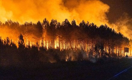 Płonący las w Biscarrosse w południowej Francji, 25 lipca 2026 r.
