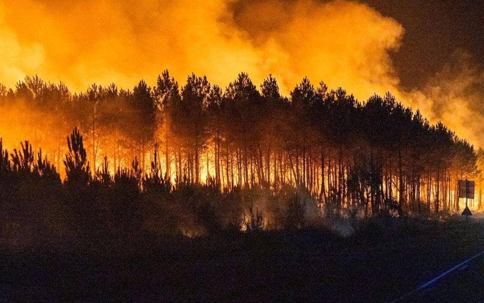 Płonący las w Biscarrosse w południowej Francji, 25 lipca 2026 r.