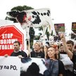 Demonstracja przed Sejmem przeciwko legalizacji uboju rytualnego, 11 lipca 2013