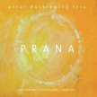 Artur Dutkiewicz Trio Prana Pianoart, CD, 2014