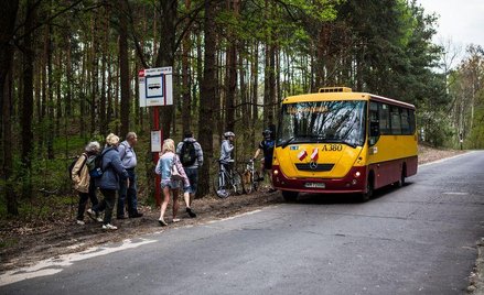 Jak ustalić ceny biletów w lokalnym transporcie gminnym